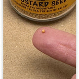 Mustard Seed Roman Glass Necklace