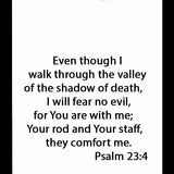 Valley Talk Big Charm